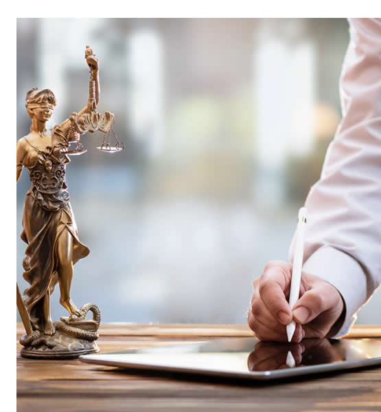 SERVICIOS LEGALES